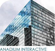 Anadium Interactive